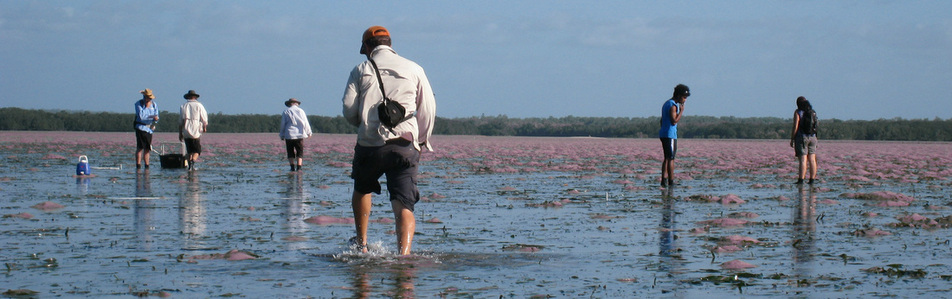 Fishing Permit – Dhimurru Aboriginal Corporation